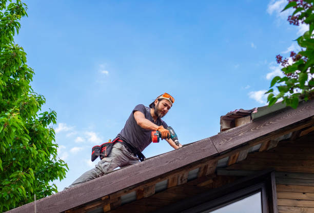  Stapleton, AL Roofing repair and installation Pros
