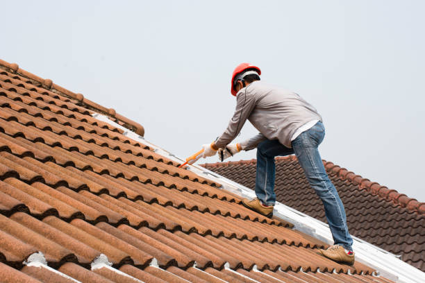 Best Emergency Roof Repair Services  in Stapleton, AL