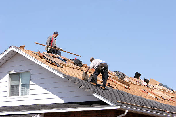 Best Rubber Roofing (EPDM, TPO)  in Stapleton, AL