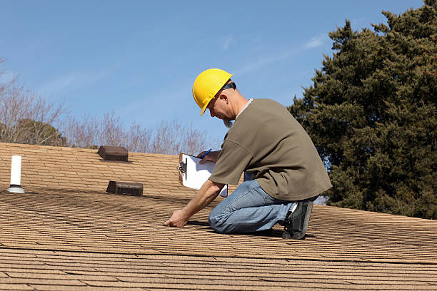 Best Solar Panel Roofing Installation  in Stapleton, AL