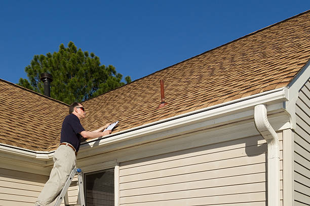 Best Skylight Installation and Repair  in Stapleton, AL
