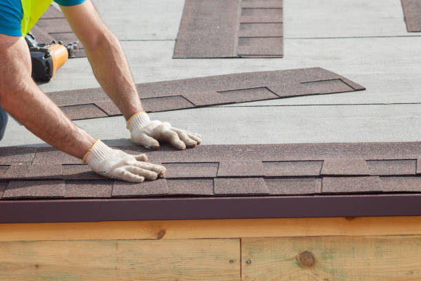 Best Roof Leak Repair  in Stapleton, AL