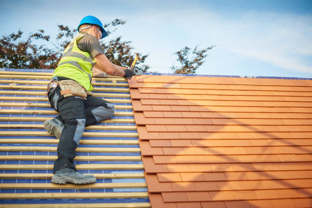 Best Storm Damage Roof Repair  in Stapleton, AL